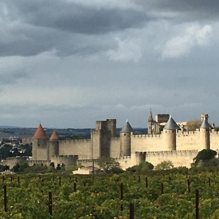 Les Orchidees Lejlighed Carcassonne Eksteriør billede