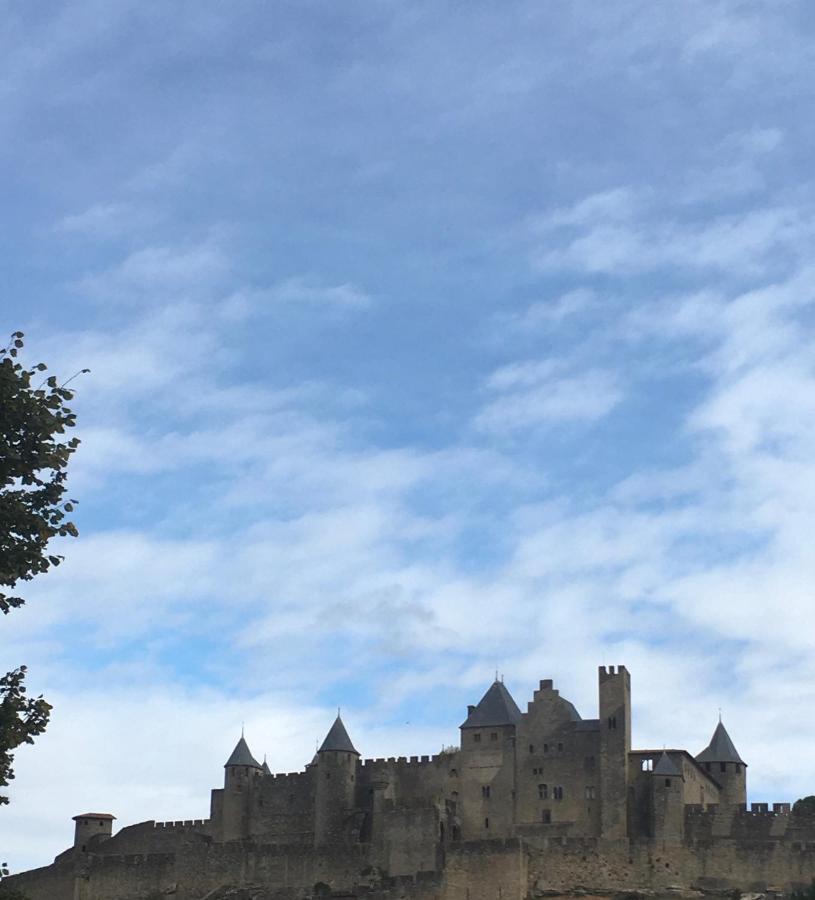Les Orchidees Lejlighed Carcassonne Eksteriør billede